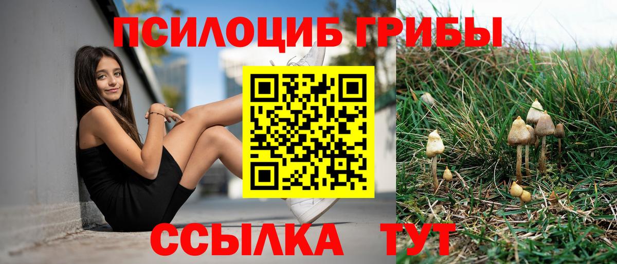 Таганрог  Галлюциногенные грибы Cubensis  Вход с VPN 